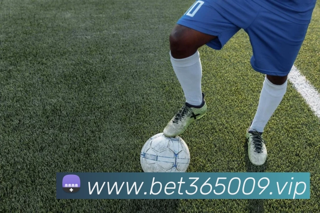 bet365中国官网全站App